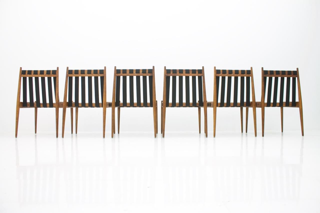 Set of 55 Dining Chairs by Egon Eiermann SE 121, Germany, 1964 10