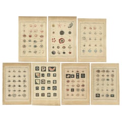 Set of 7 Antique Prints of Ophthalmology by Ammon, circa 1840