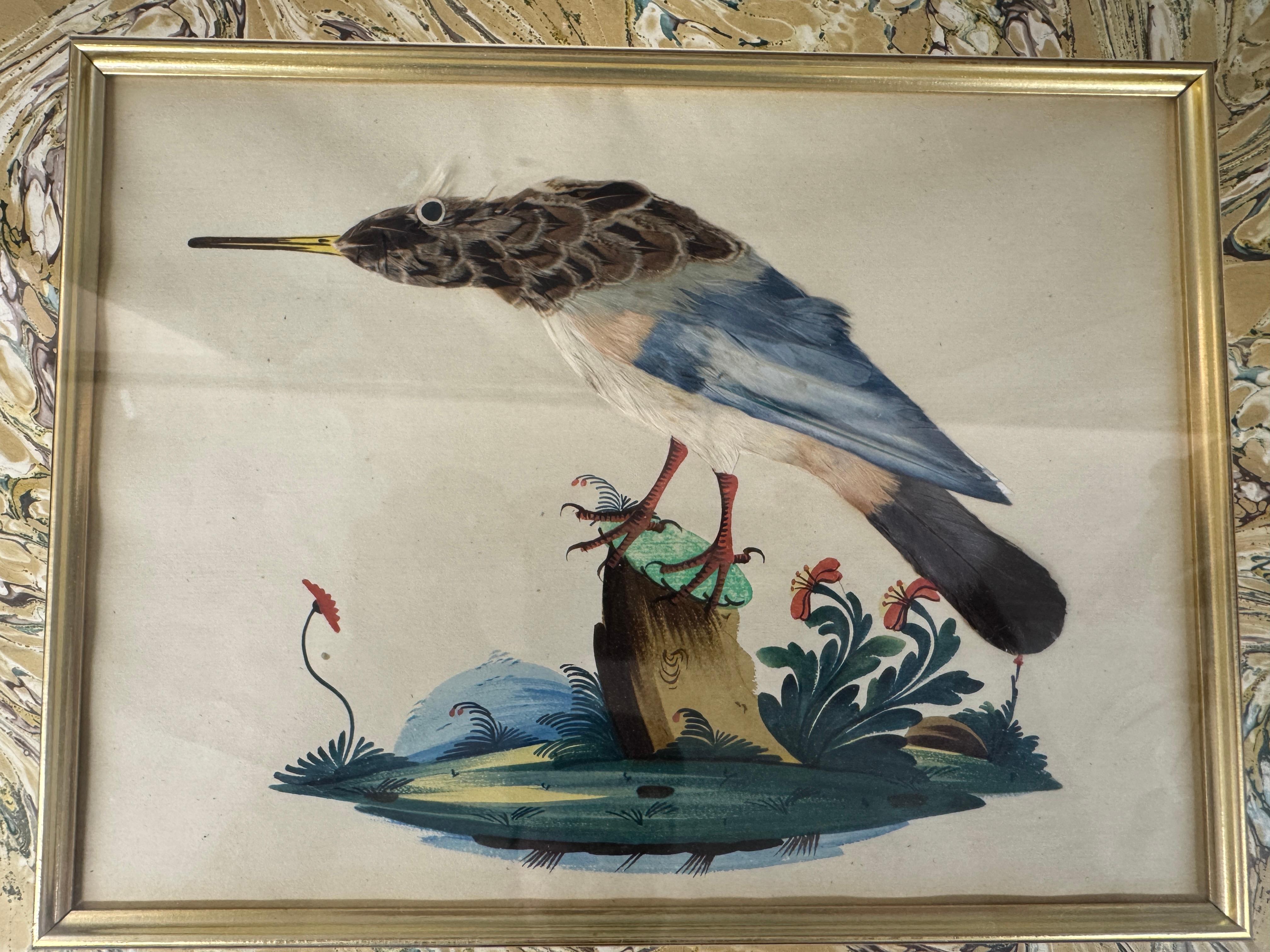 Satz von 7 antiken Aquarell & Feder Vogel Bilder im Angebot 8