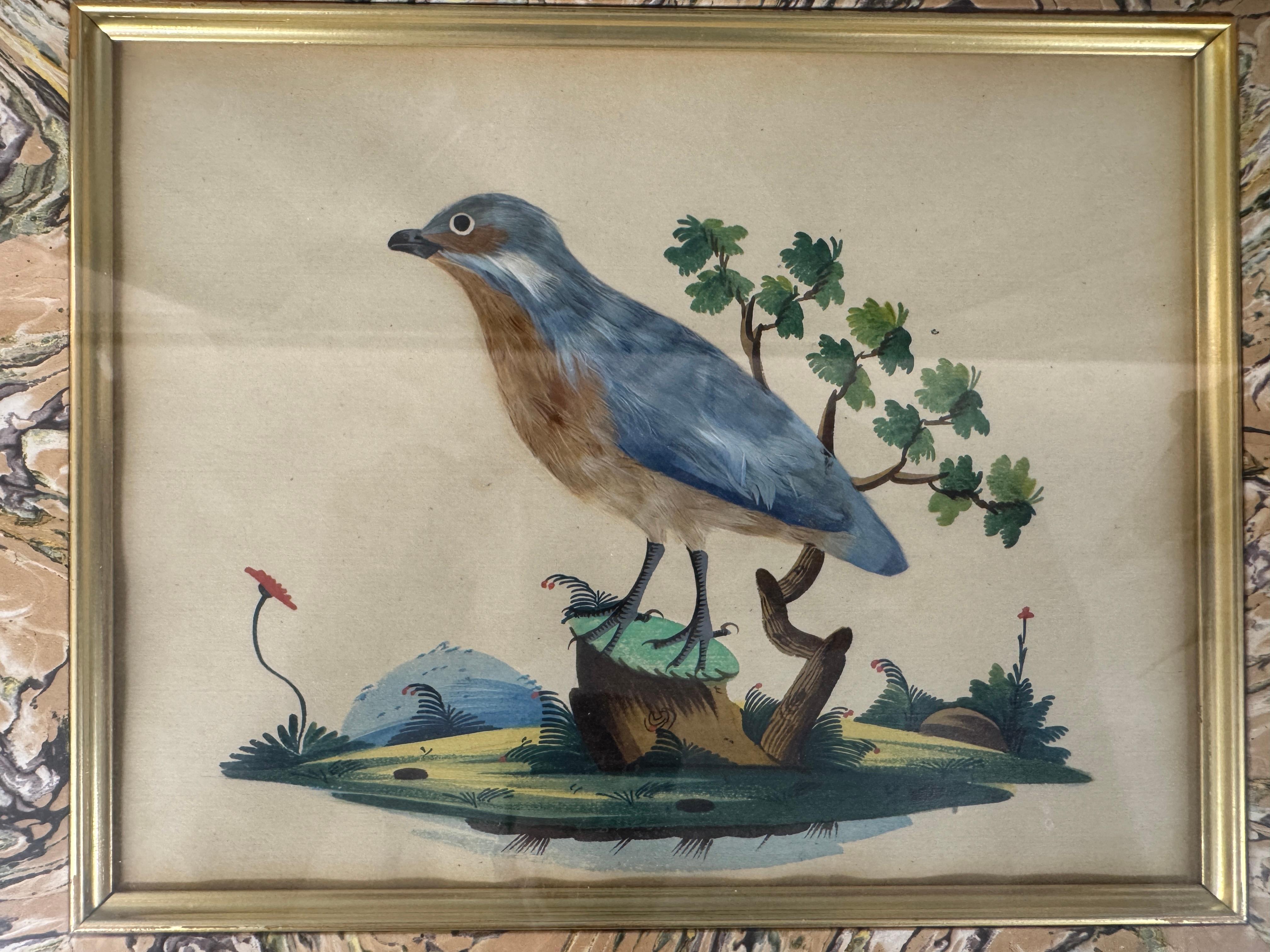 Satz von 7 antiken Aquarell & Feder Vogel Bilder im Zustand „Gut“ im Angebot in Basildon, GB