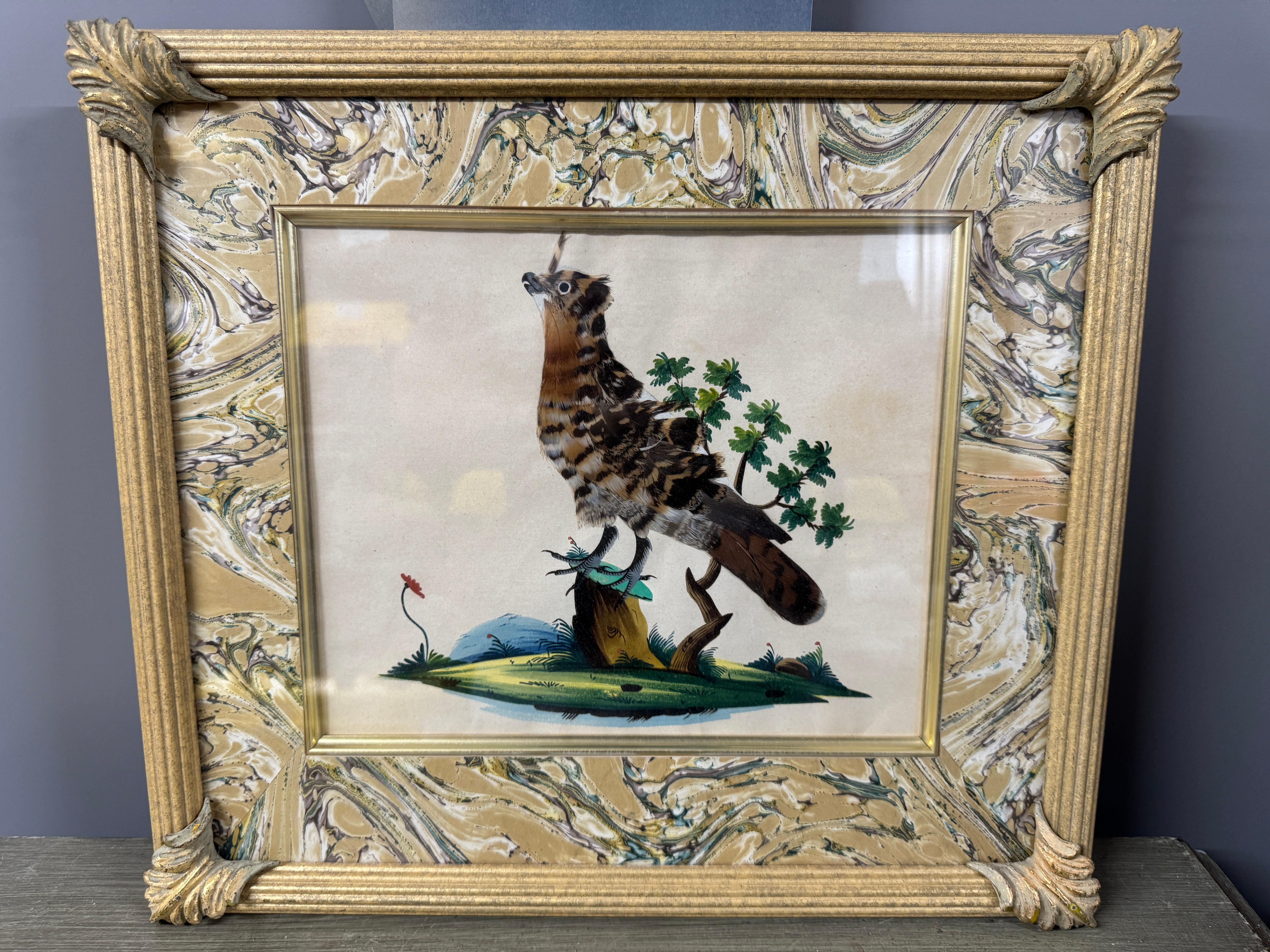 Satz von 7 antiken Aquarell & Feder Vogel Bilder (19. Jahrhundert) im Angebot