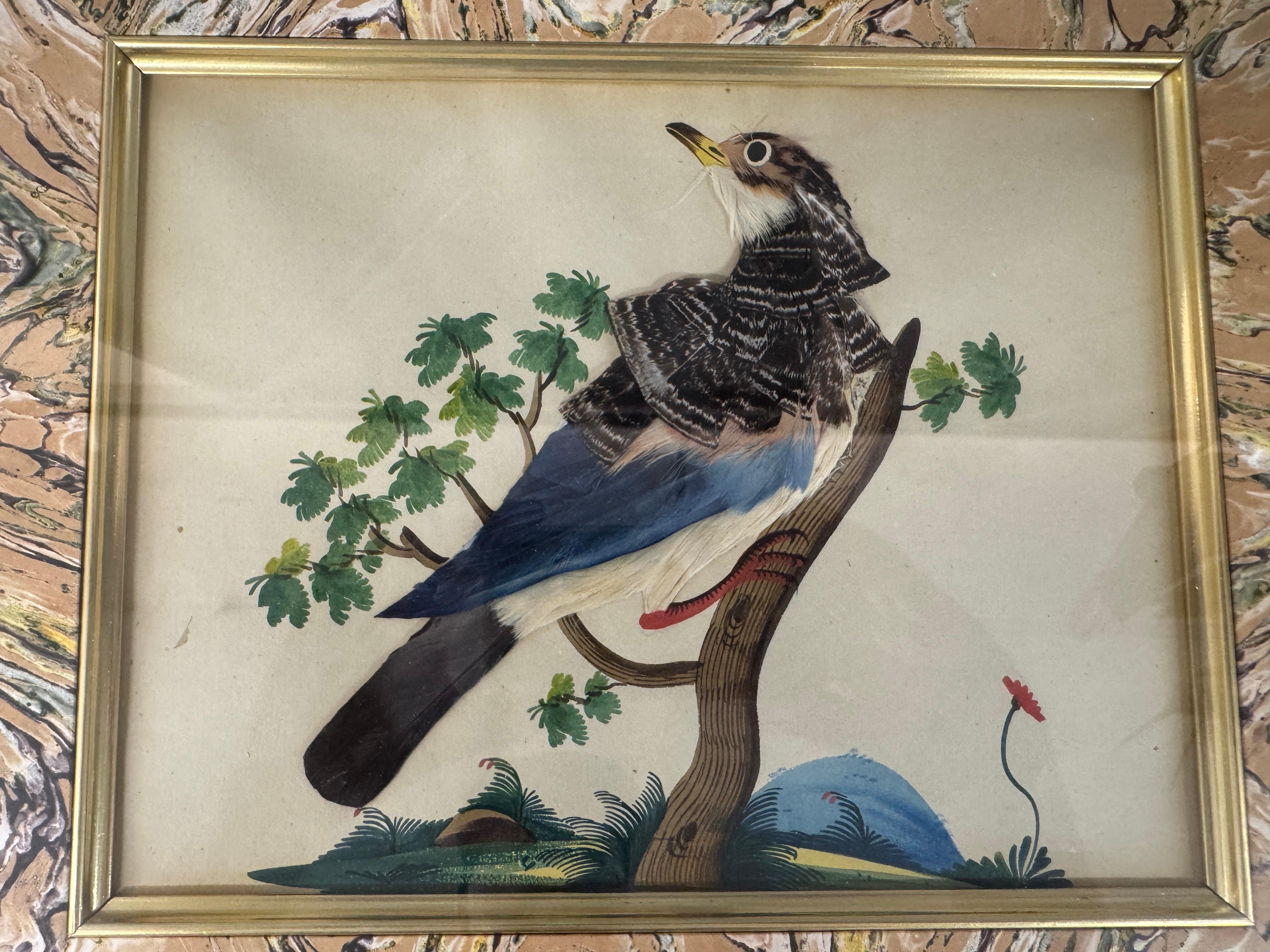 Satz von 7 antiken Aquarell & Feder Vogel Bilder im Angebot 2