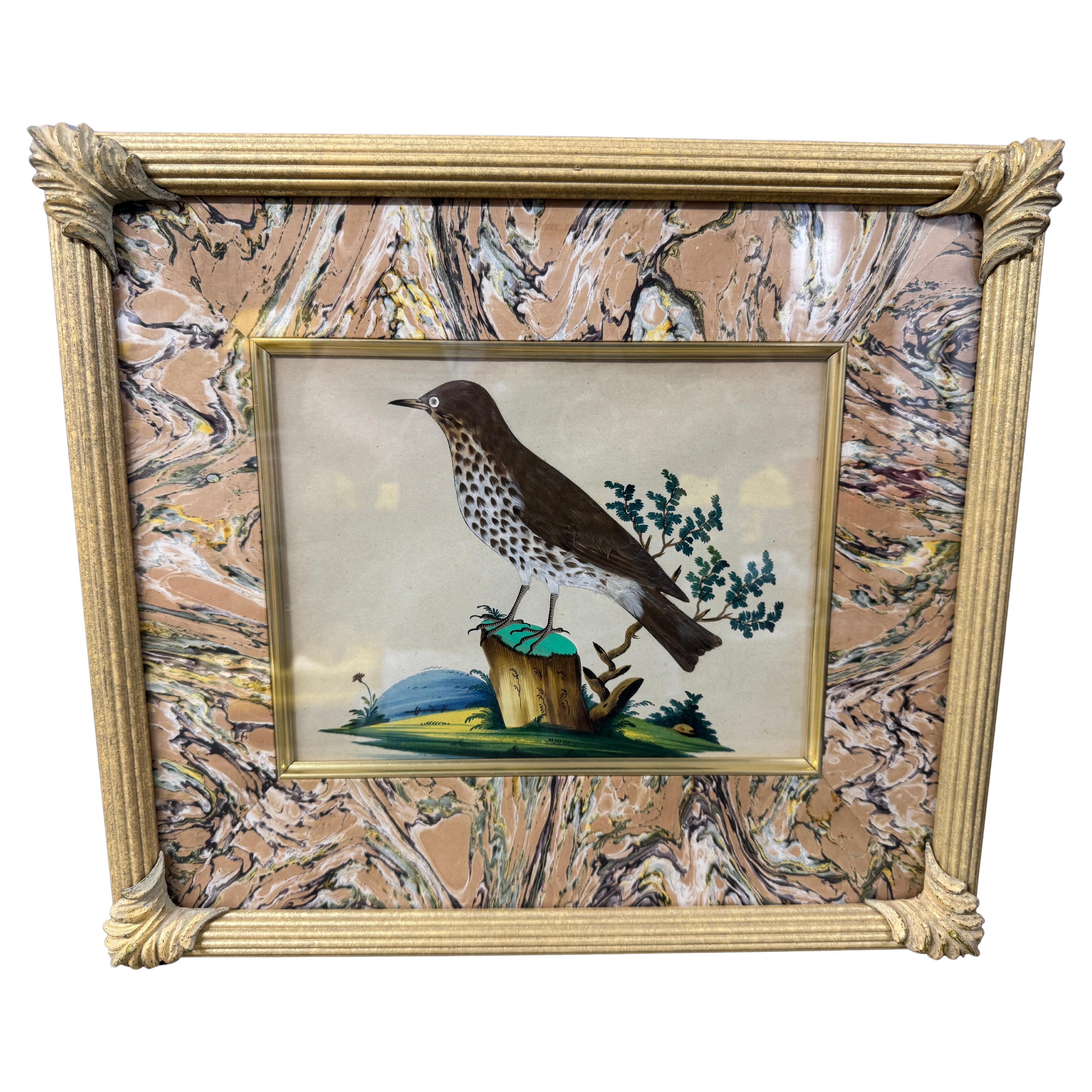 Satz von 7 antiken Aquarell & Feder Vogel Bilder im Angebot