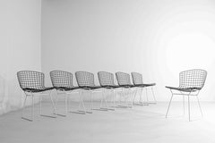 Set of 7 Black and White wire chairs by Harry Bertoia for Knoll, 1970s