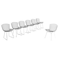 Ensemble de 7 chaises en fil de fer noir et blanc par Harry Bertoia pour Knoll, années 1970