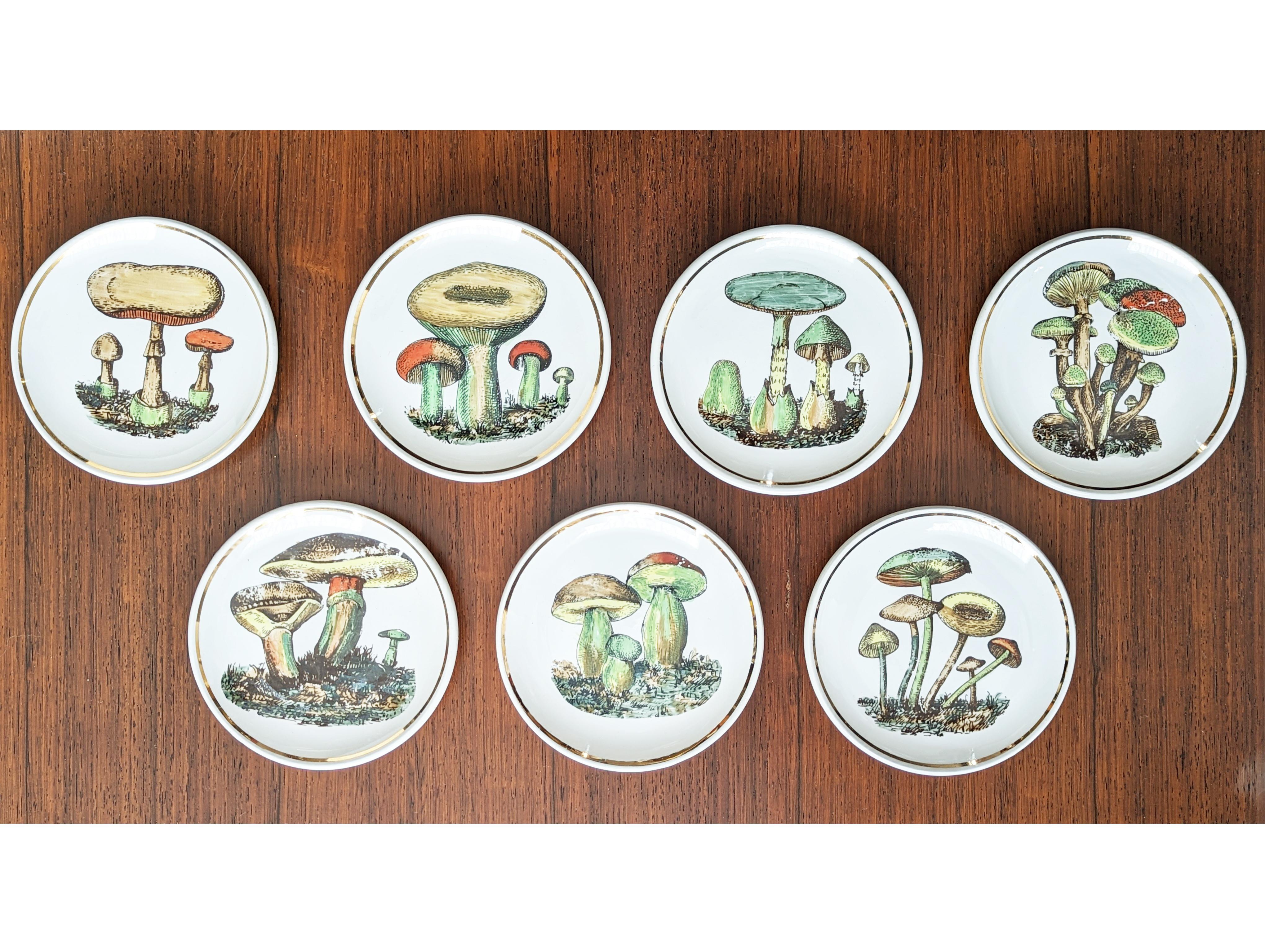 Questo set di funghi Bucciarelli comprende 7 sottobicchieri, . Sono in condizioni piuttosto buone considerando l'età, con lievi perdite di colore e alcuni graffi molto leggeri.
Ogni pezzo ha una cornice dorata ed è contrassegnato sul lato