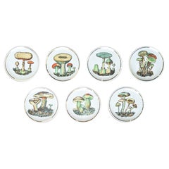 Juego de 7 posavasos pequeños de cerámica con setas by Bucciarelli, Milano