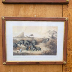 Set Of 7 Framed Engravings, Hunting In Asia, 19th Century