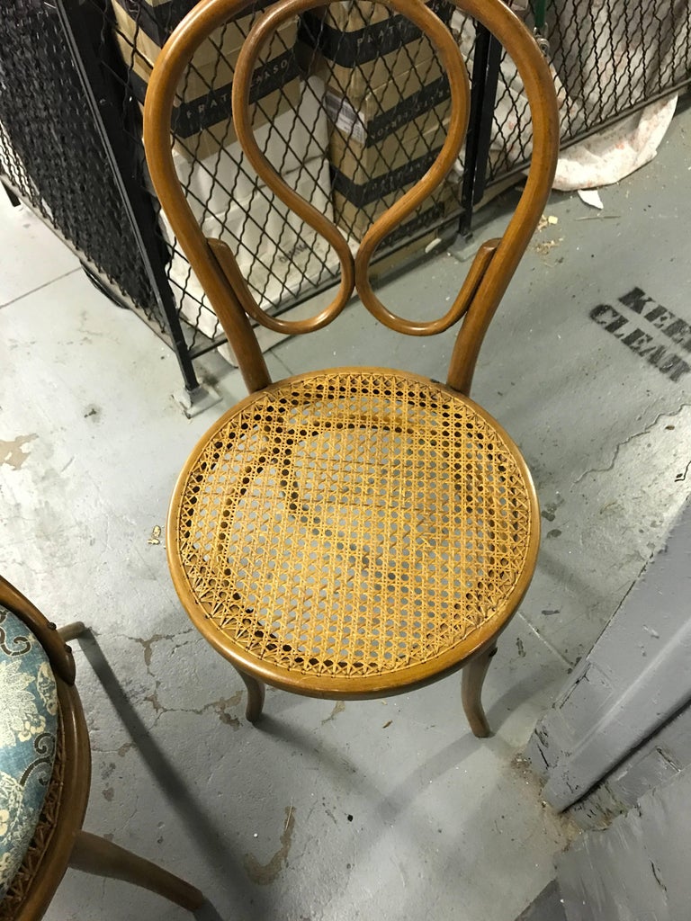 Set of Seven Mismatched Style Bentwood Side Chairs with Cushions