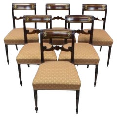 Ensemble de 7 chaises de salle à manger Regency en acajou