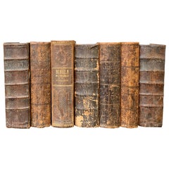 Set of 7 Swedish 19th Century Leather-Bound Bible Books