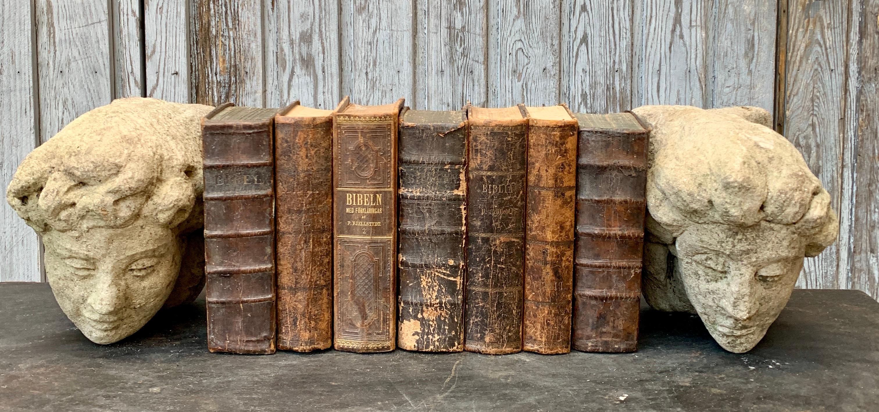 Set of 7 Swedish 19th Century Leather-Bound Bible Books In Good Condition In Haddonfield, NJ