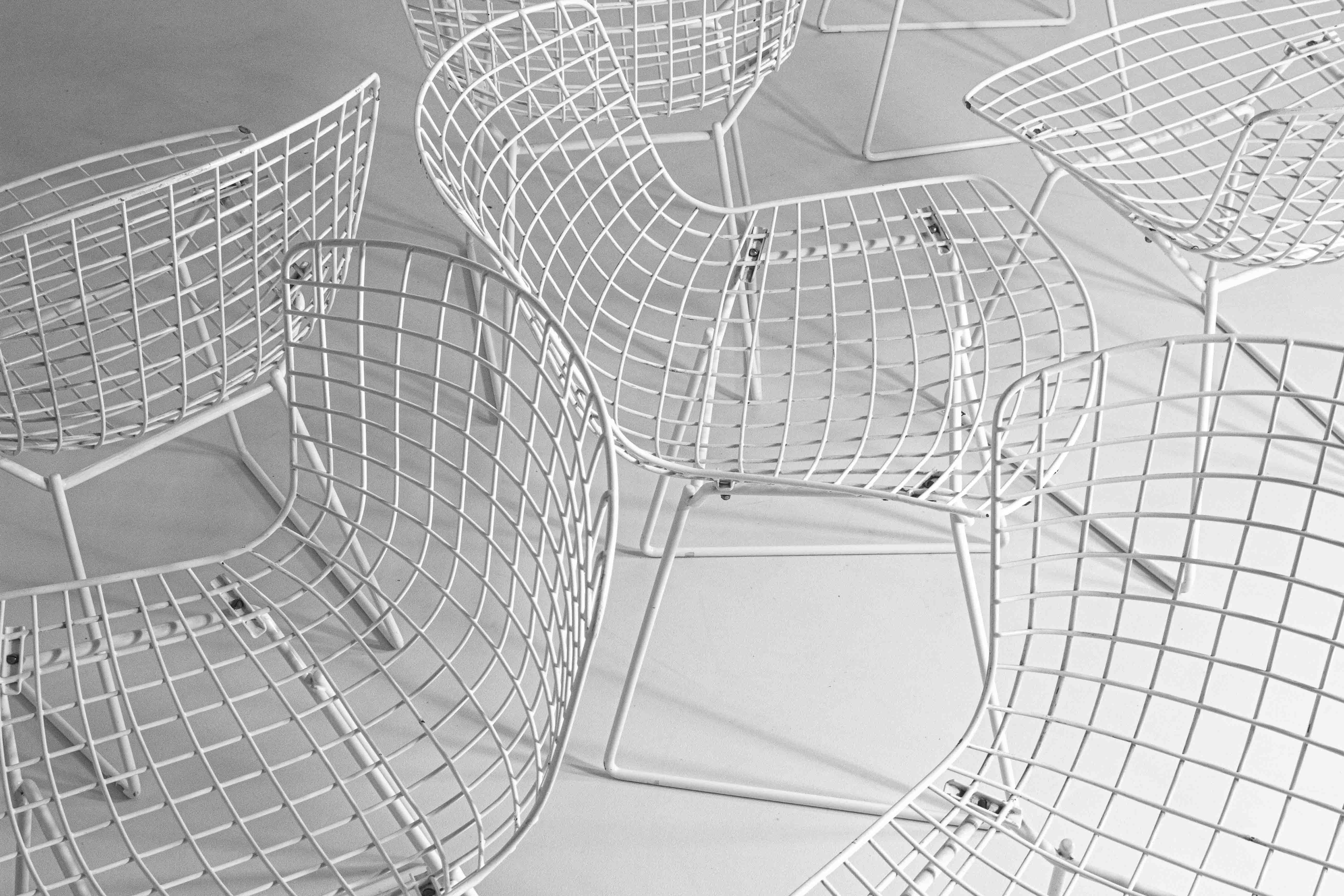 Satz von 7 weiß beschichteten Drahtstühlen von Harry Bertoia für Knoll, 1970er Jahre im Angebot 4