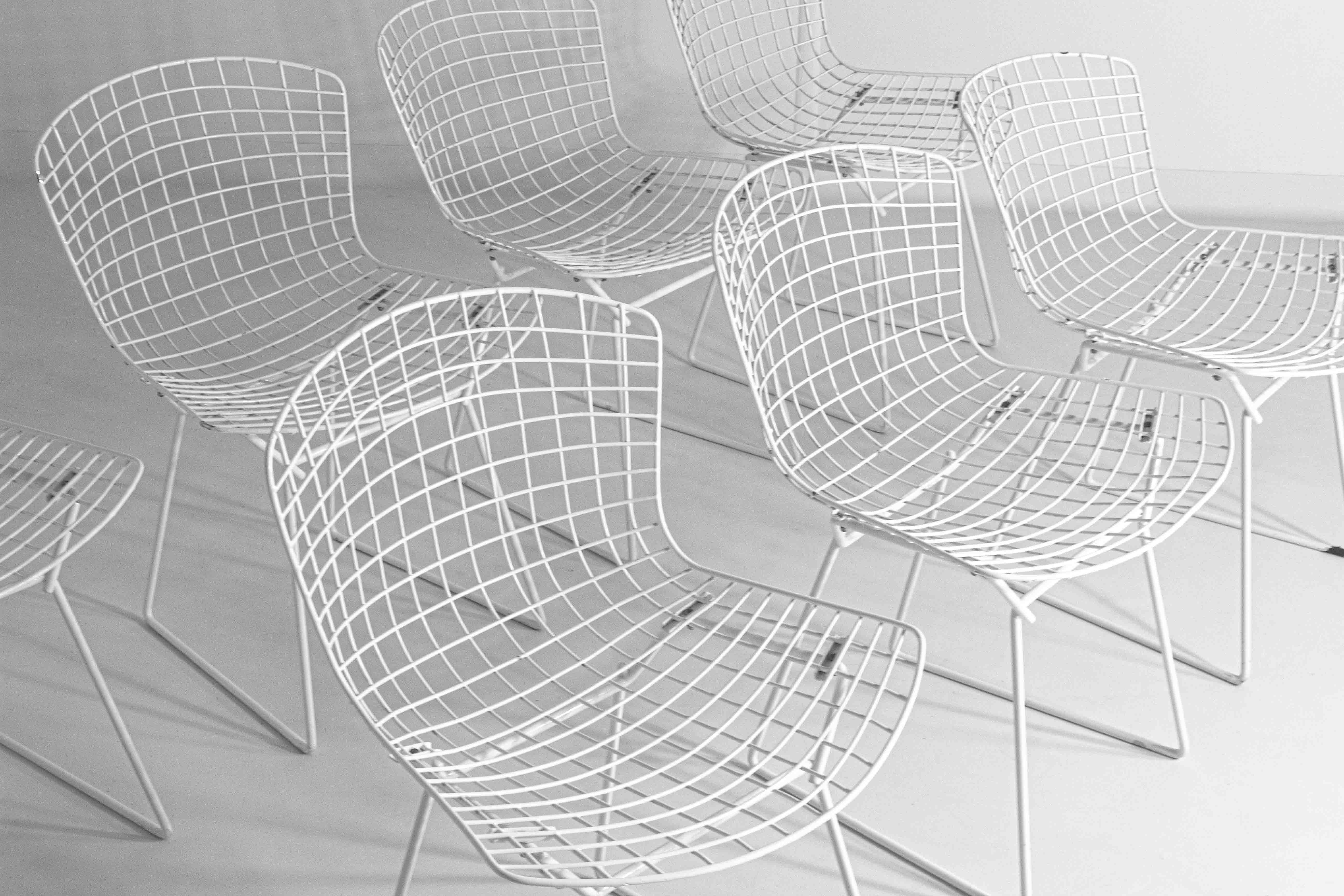 Satz von 7 weiß beschichteten Drahtstühlen von Harry Bertoia für Knoll, 1970er Jahre (Metall) im Angebot