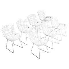 Ensemble de 7 chaises en fil métallique blanc par Harry Bertoia pour Knoll, 1970