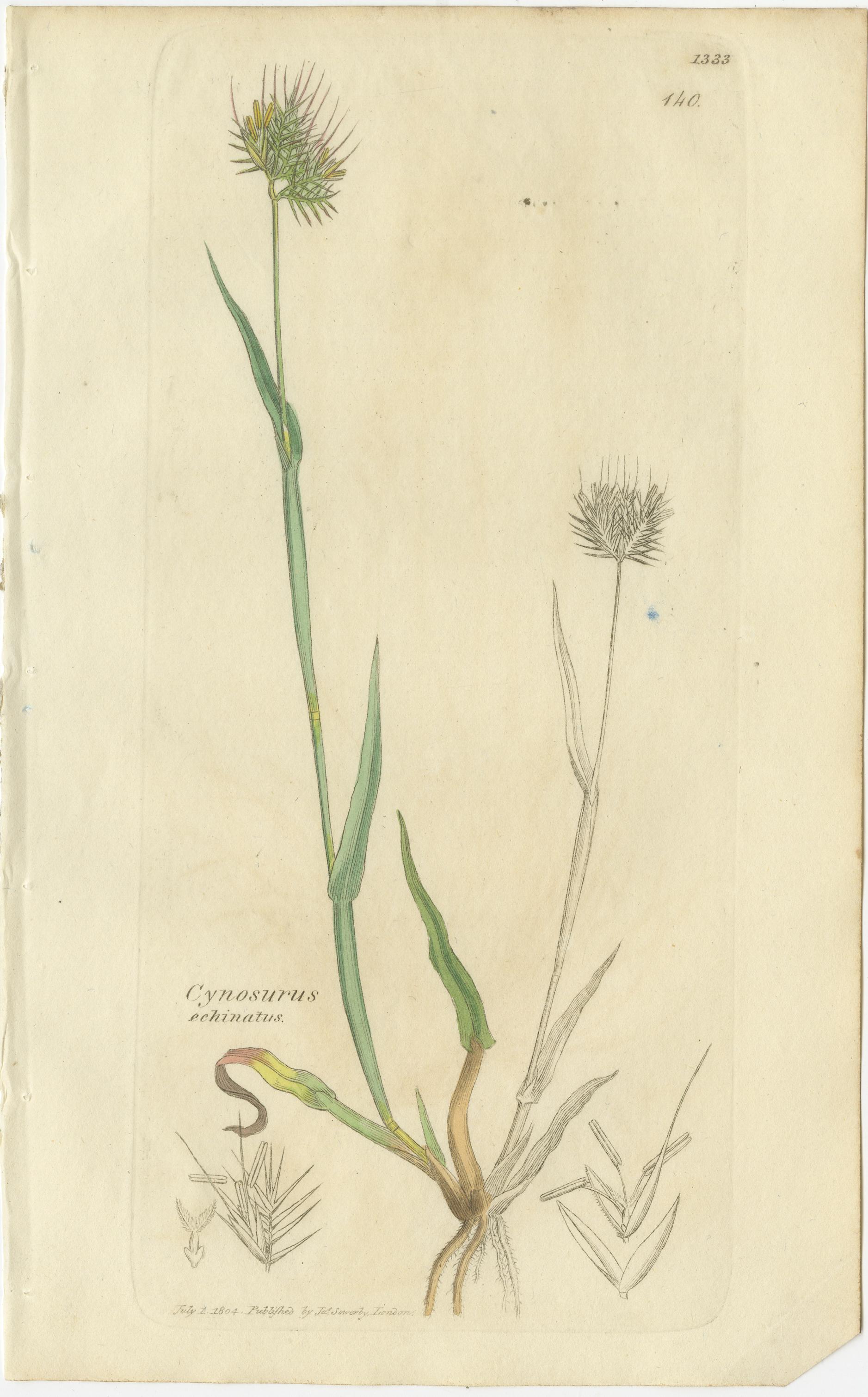 Ensemble de 8 gravures botaniques anciennes d'herbes de prairies et de pâturages, c.1830. Bon état - En vente à Langweer, NL