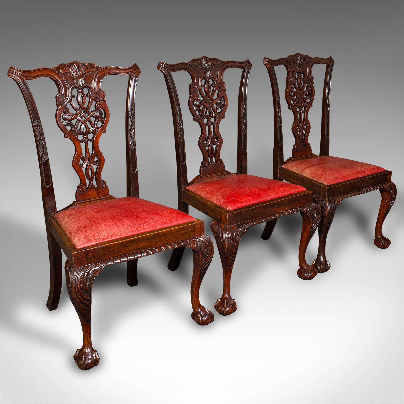 Set Of 8 Antique Dining Chairs, English, Leather, Chippendale Revival, Victorian In Good Condition In Hele, Devon, GB