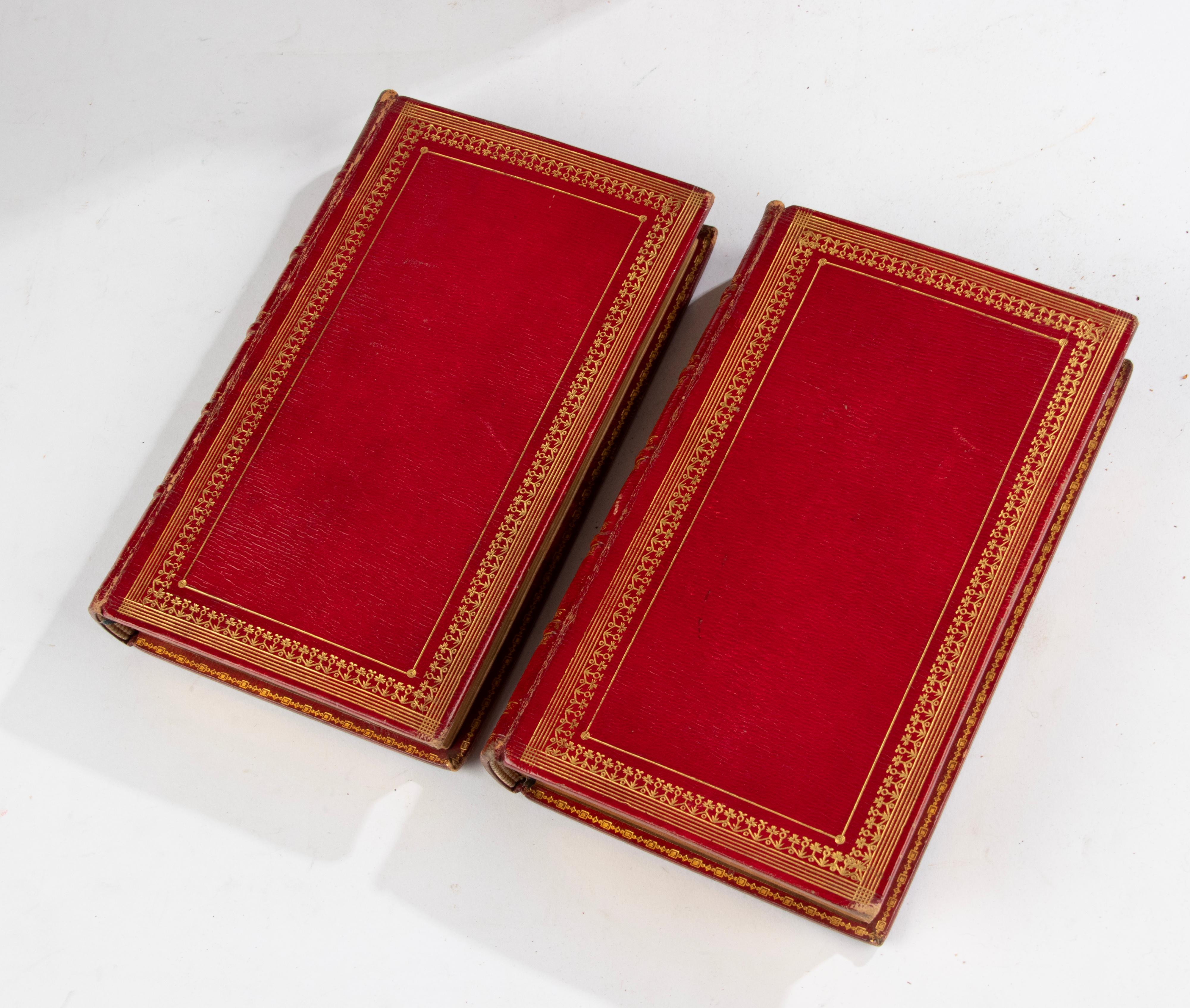 Set of 8 Antique French Leather Binding Books for Decoration For Sale 4