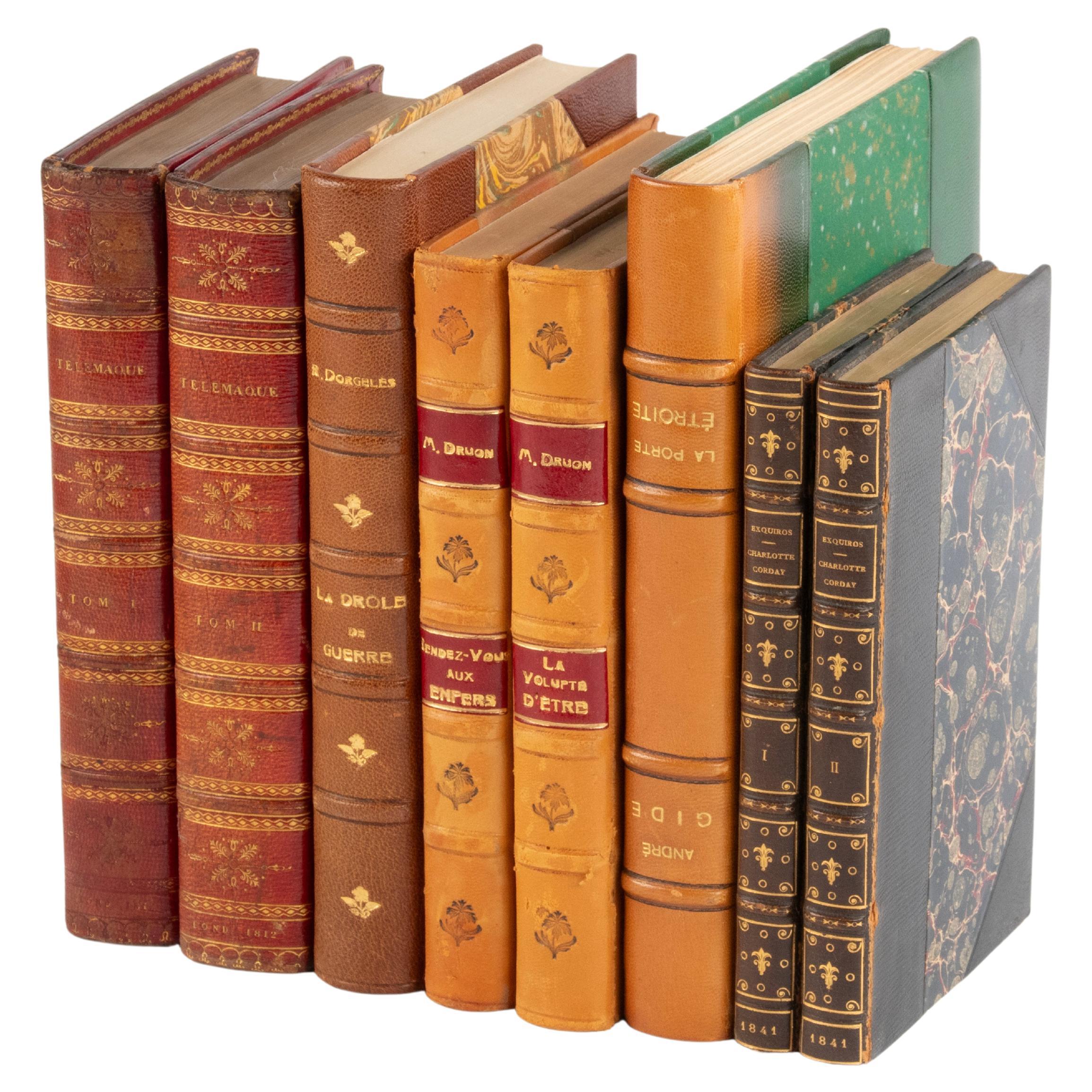 Set of 8 Antique French Leather Binding Books for Decoration For Sale