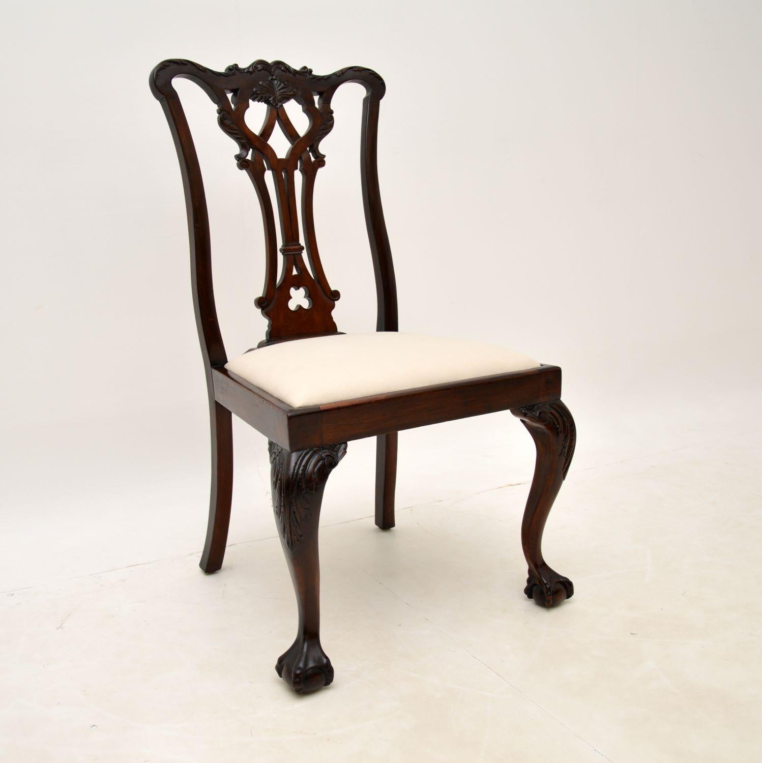 A wonderful set of antique solid mahogany English Chippendale style dining chairs, dating from around the 1880-1890’s period.

They are of excellent quality, with fine carving and lovely proportions. The knees have acanthus leaf carving, and the