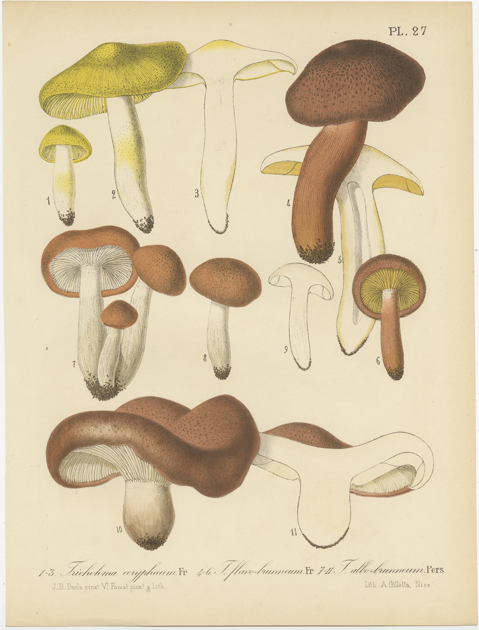 Paper Set of 8 Antique Mycology Prints of Various Fungi by Barla, circa 1890 For Sale