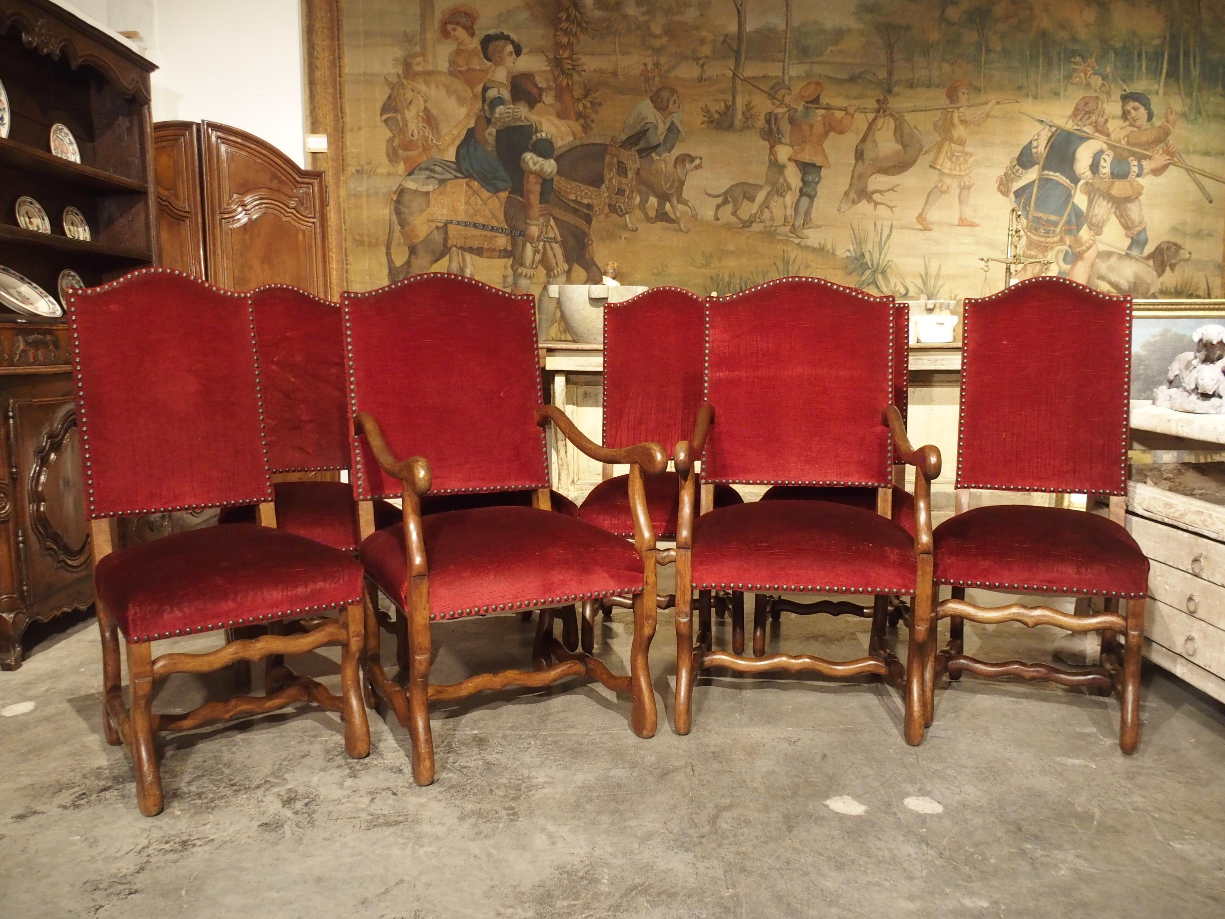 This set of eight Classic French Os de Mouton chairs have been hand carved in oak, assembled with square peg construction and upholstered in a deep red. There are six dining chairs plus two wider “king and queen” armchairs.

These chairs date to
