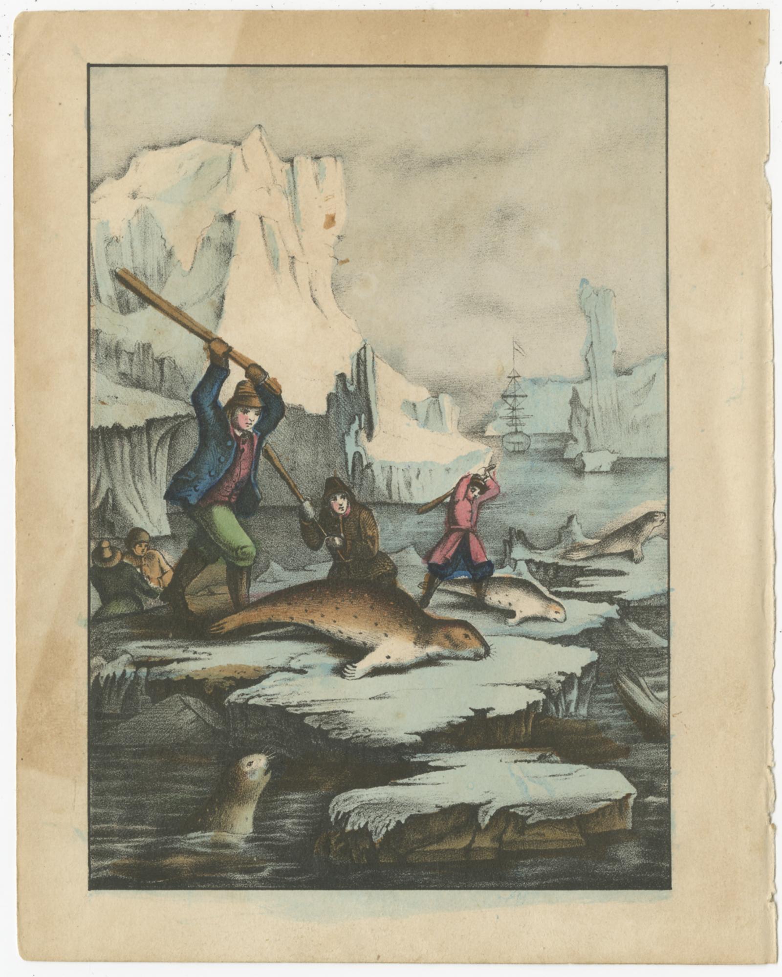 Set of eight antique prints of various animals and hunting scenes including a snake, monkeys, polar bears, elephant hunting, seal hunting and others. Source unknown, to be determined. Published circa 1880.