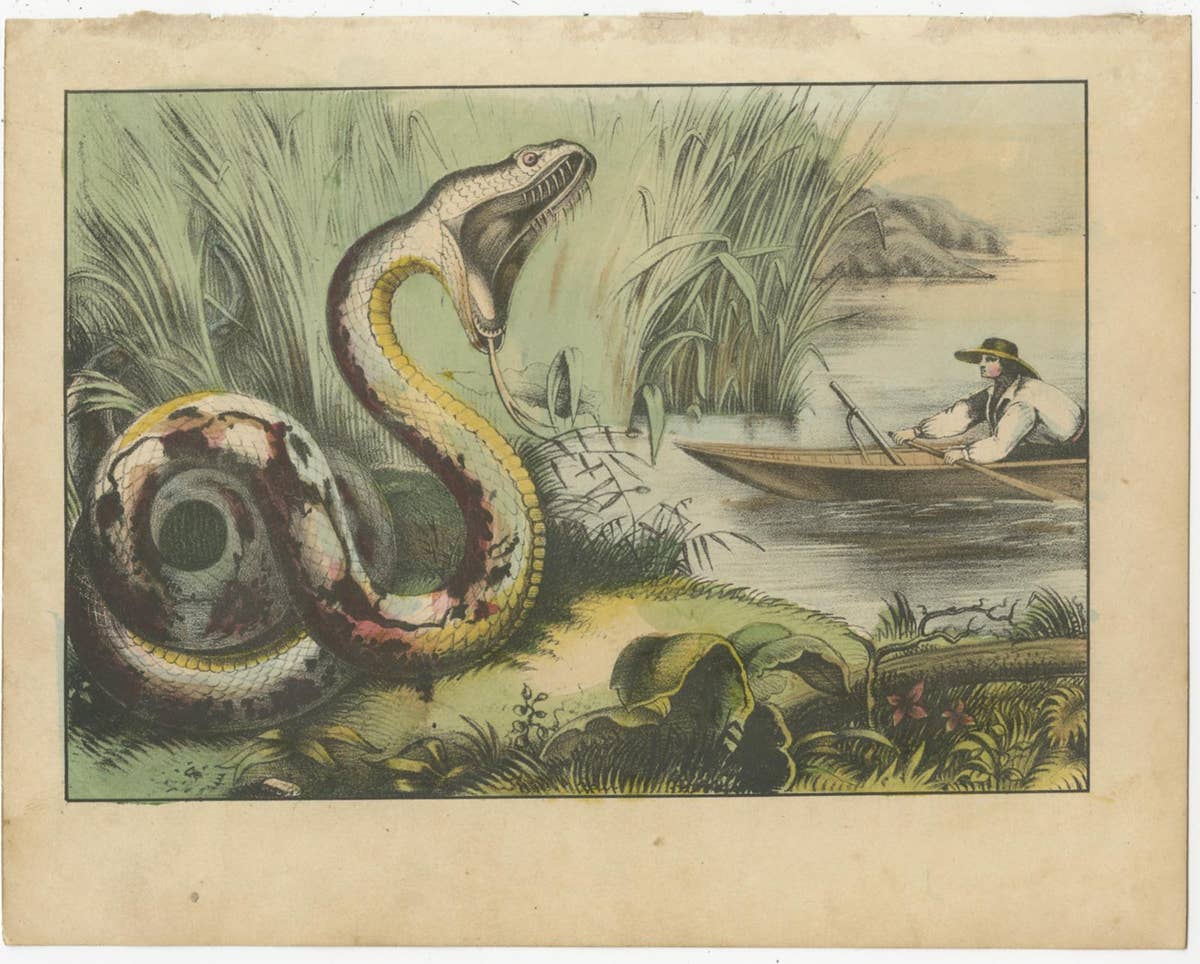 Set of 8 Antique Prints of Various Animals and Hunting Scenes 'circa 1880'