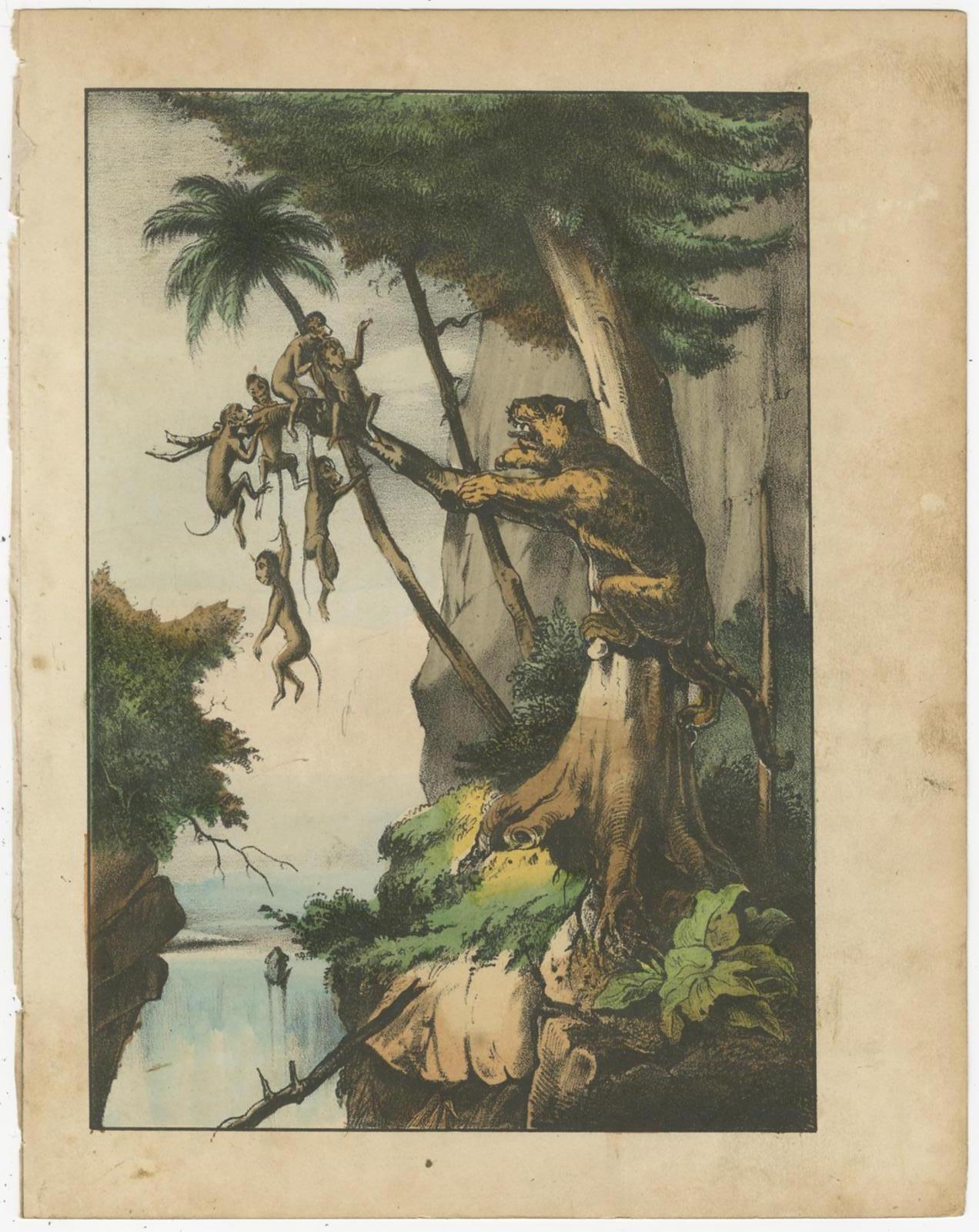 XIXe siècle Ensemble de 8 estampes anciennes d'animaux et de scènes de chasse de divers animaux, vers 1880 en vente