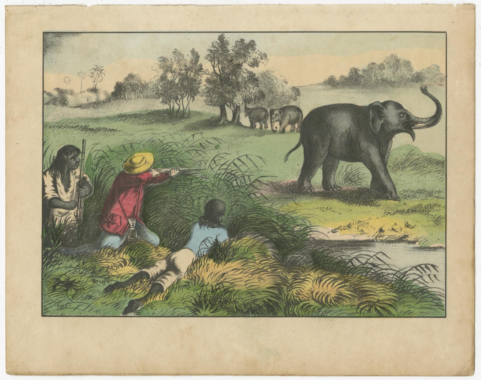 Paper Set of 8 Antique Prints of Various Animals and Hunting Scenes 'circa 1880' For Sale