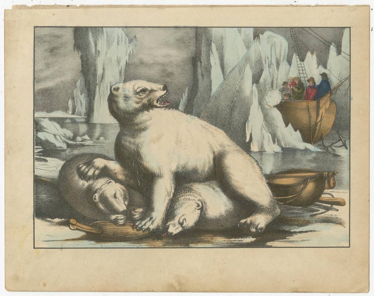 Set of 8 Antique Prints of Various Animals and Hunting Scenes 'circa 1880'