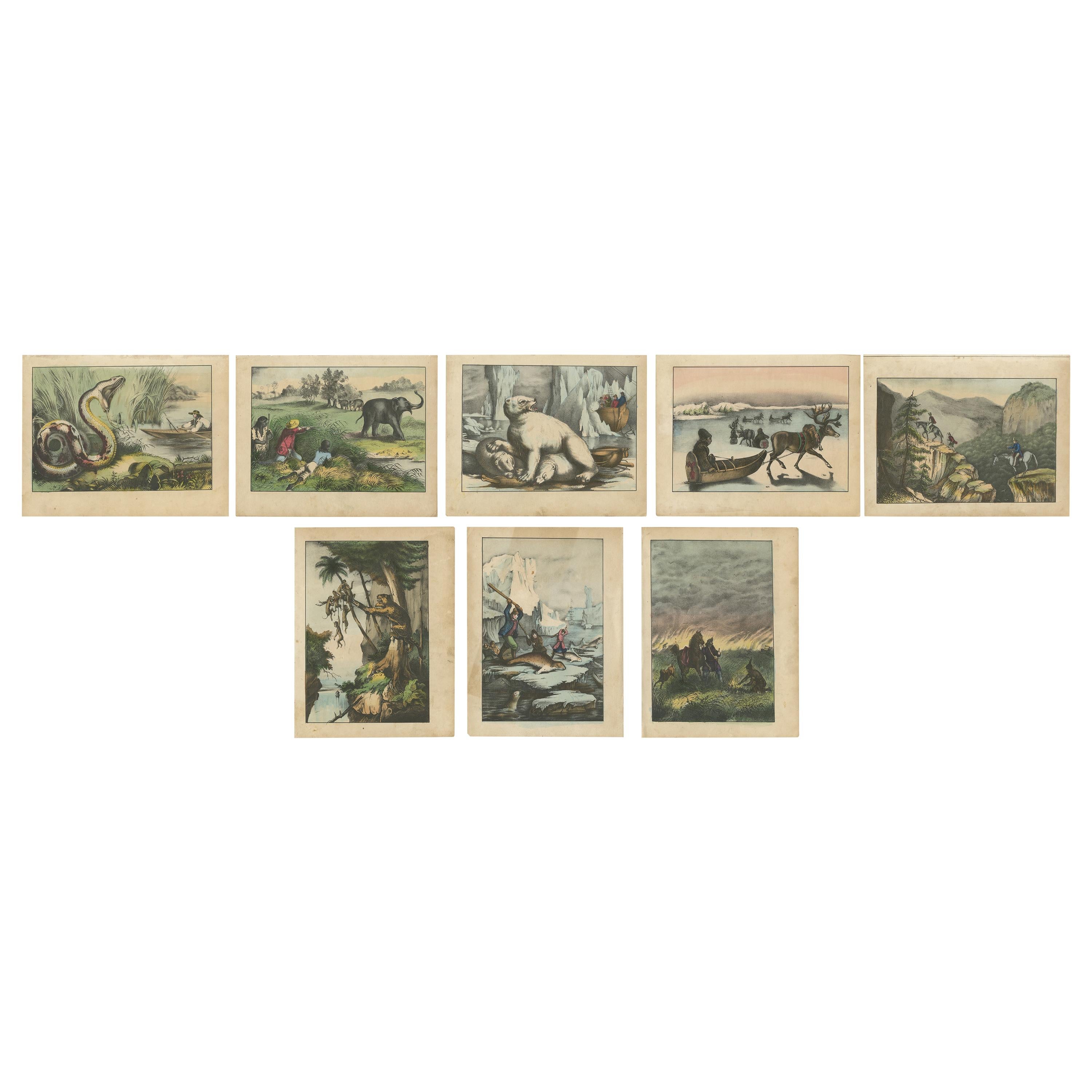 Set of 8 Antique Prints of Various Animals and Hunting Scenes 'circa 1880'