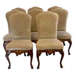 Set of 8 Antique Quality Burr Walnut Inlaid Marquetry Dining Chairs