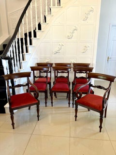 Satz von 8 antiken Mahagoni-Esszimmerstühlen in Regency- Qualität