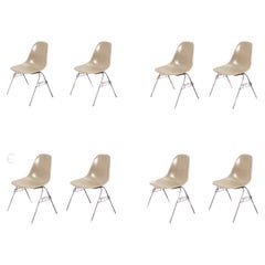 Set of 8 Beige Herman Miller Eames Dining Chairs