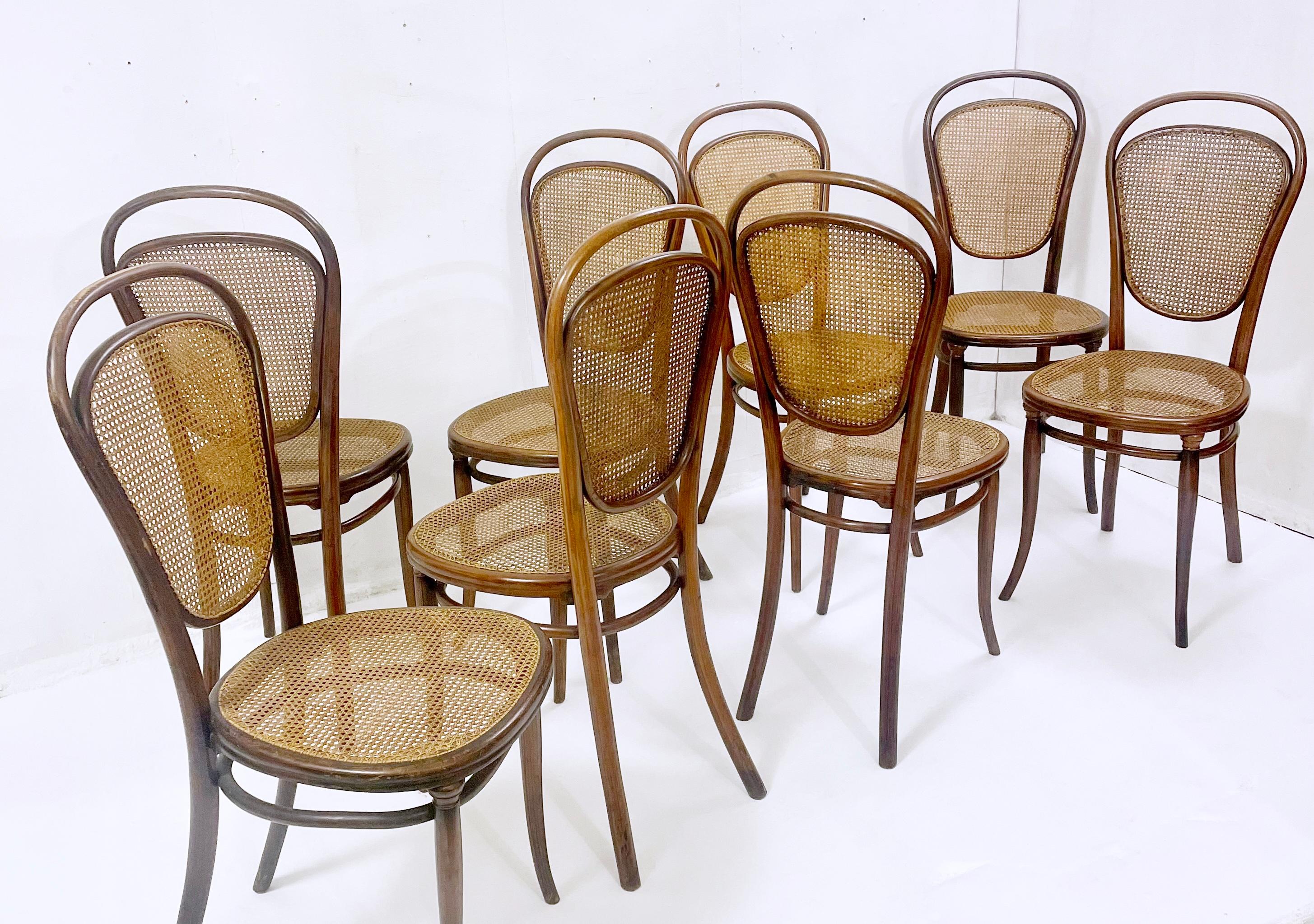 Ensemble de 8 chaises à cannes en bois courbé par Thonet - Autriche années 1930.