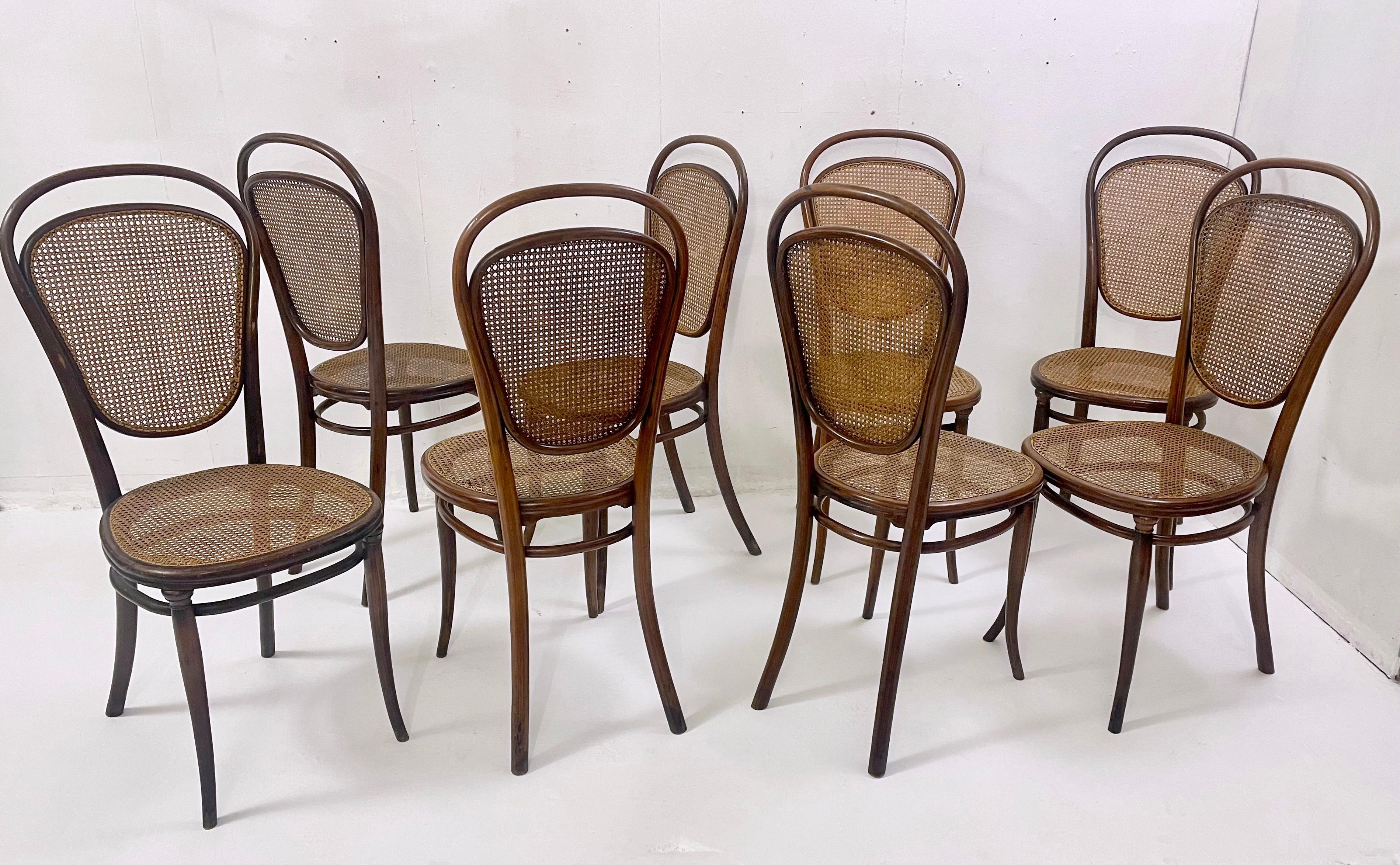 Ensemble de 8 chaises à baldaquin en bois cintré de Thonet, Autriche, années 1930 Bon état - En vente à Brussels, BE