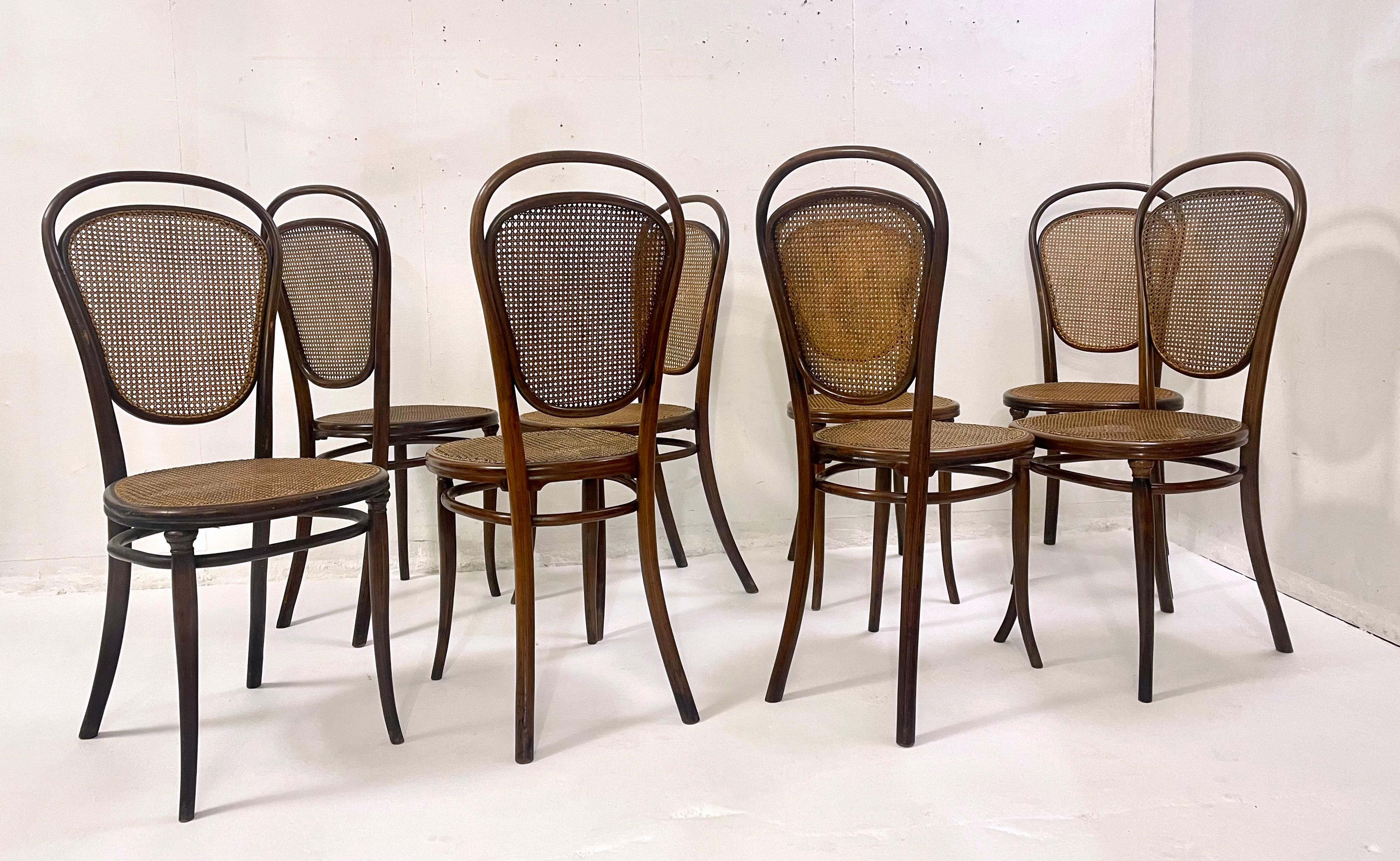 Austrian Set of 8 Bentwood Caning Chairs by Thonet, Austria 1930s For Sale