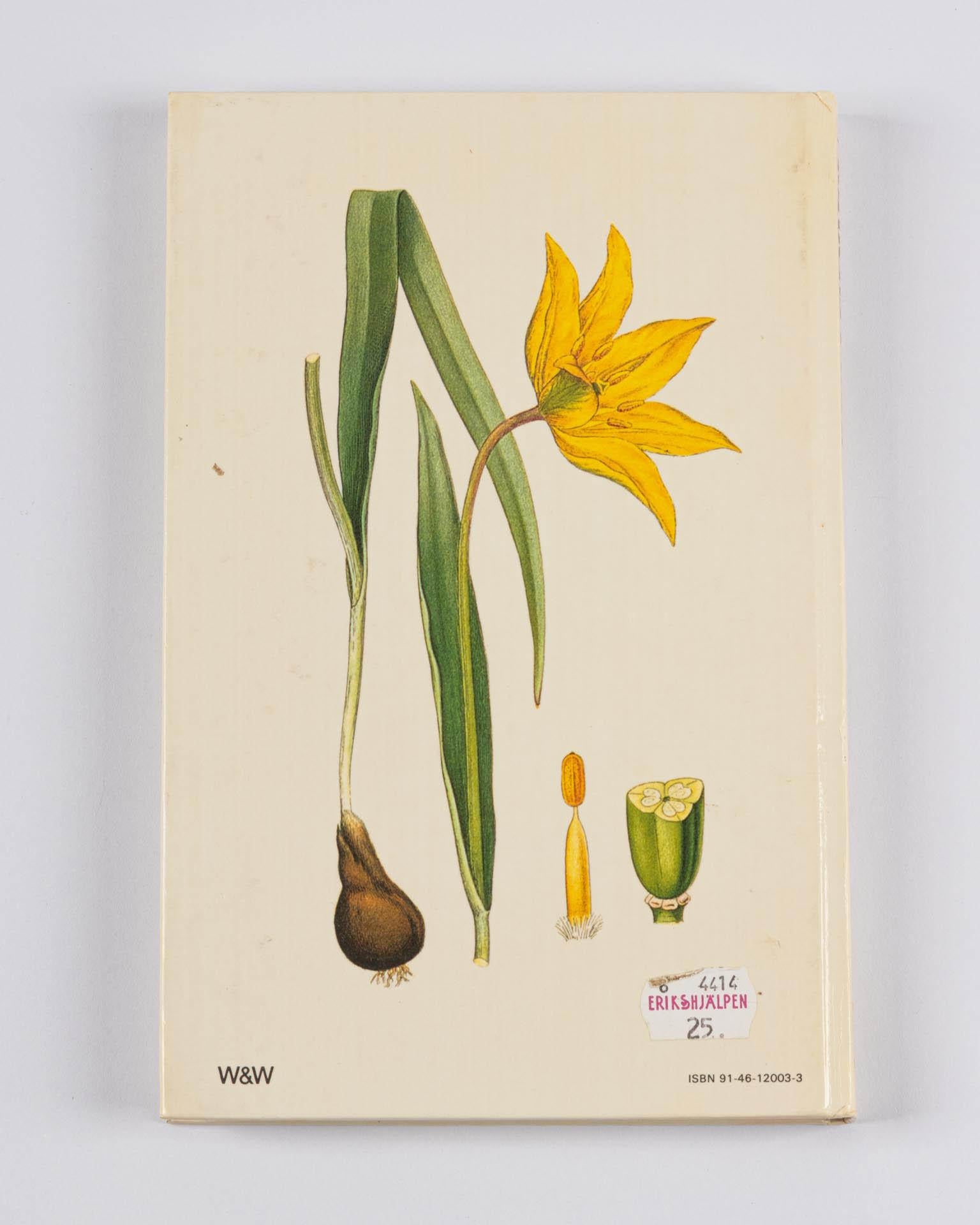 Conjunto de 8 libros con flores, Nordens Flora, Suecia, Siglo XX en venta 4