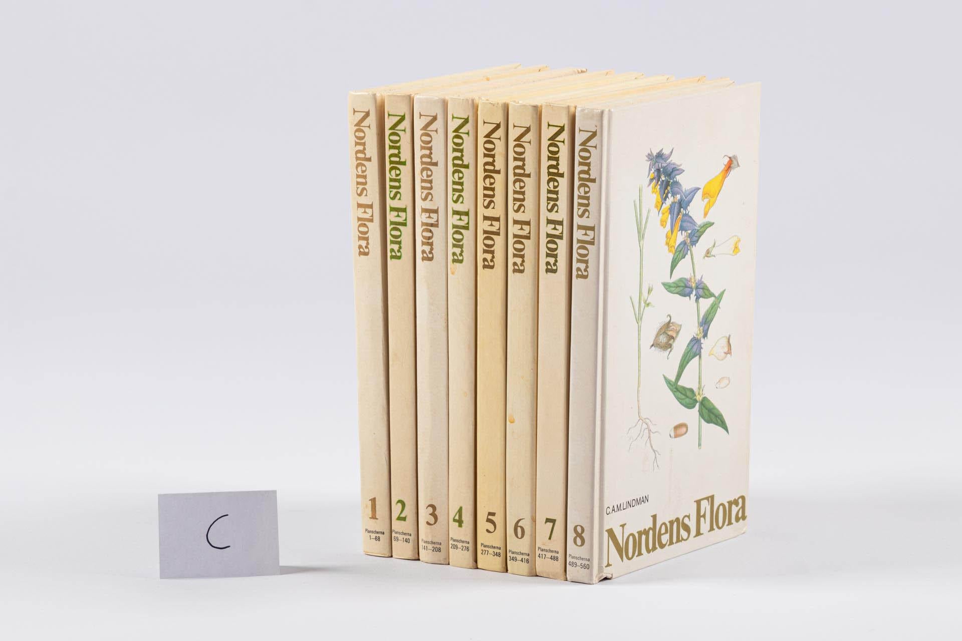 Lote de 8 Libros - Nordens Flora 

Carl Axel Magnus Lindman (* 6 de abril de 1856 en Halmstad, Suecia; † 21 de junio de 1928 en Adolf Fredriks församling, Stockholms län) fue un botánico sueco. Su obra principal es la obra de flora ricamente