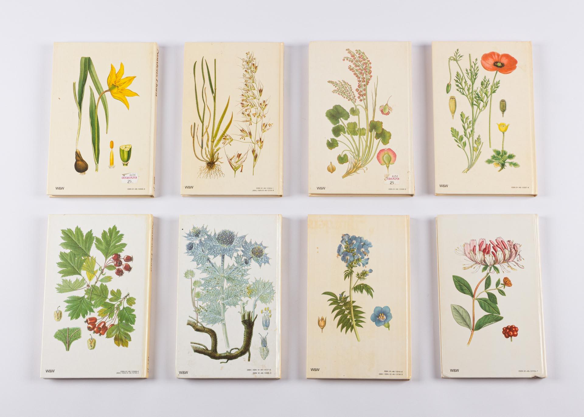 Conjunto de 8 libros con flores, Nordens Flora, Suecia, Siglo XX en venta 2