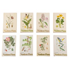Ensemble de 8 livres avec des fleurs, Nordens Flora, Suède, 20e siècle