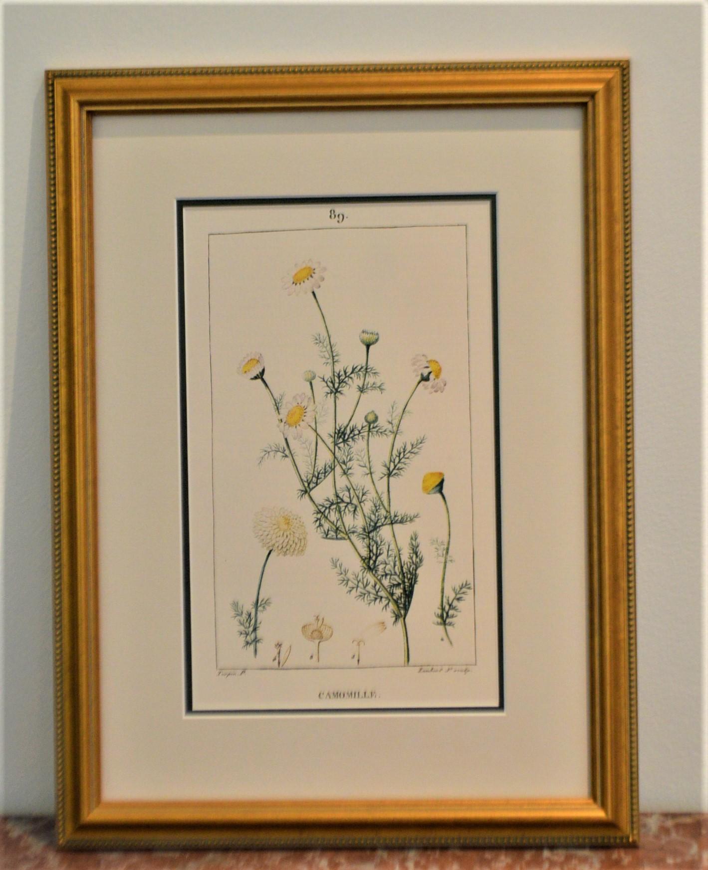 Gilt Set of 8 Botanical Prints, Gold Frame