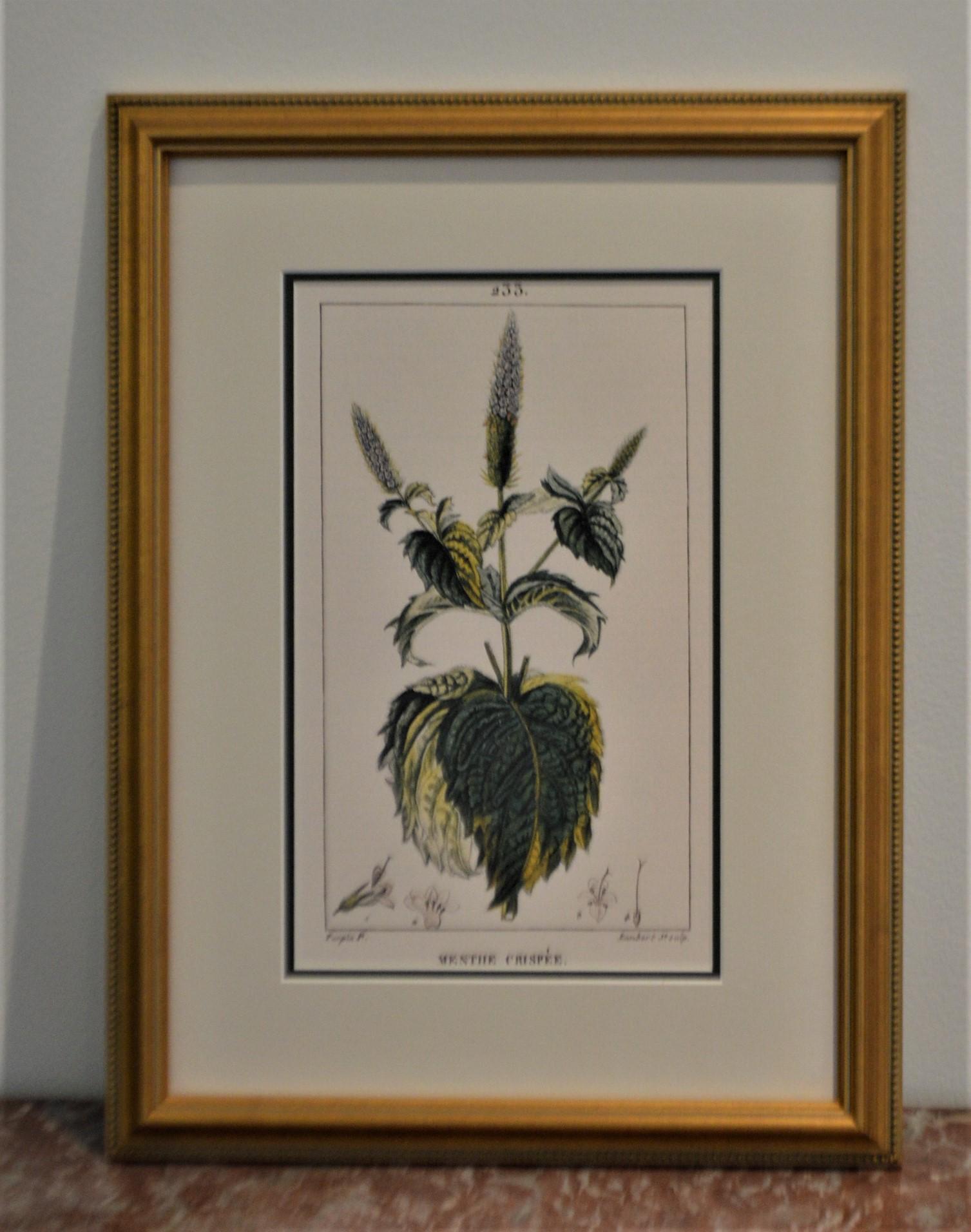 Contemporary Set of 8 Botanical Prints, Gold Frame