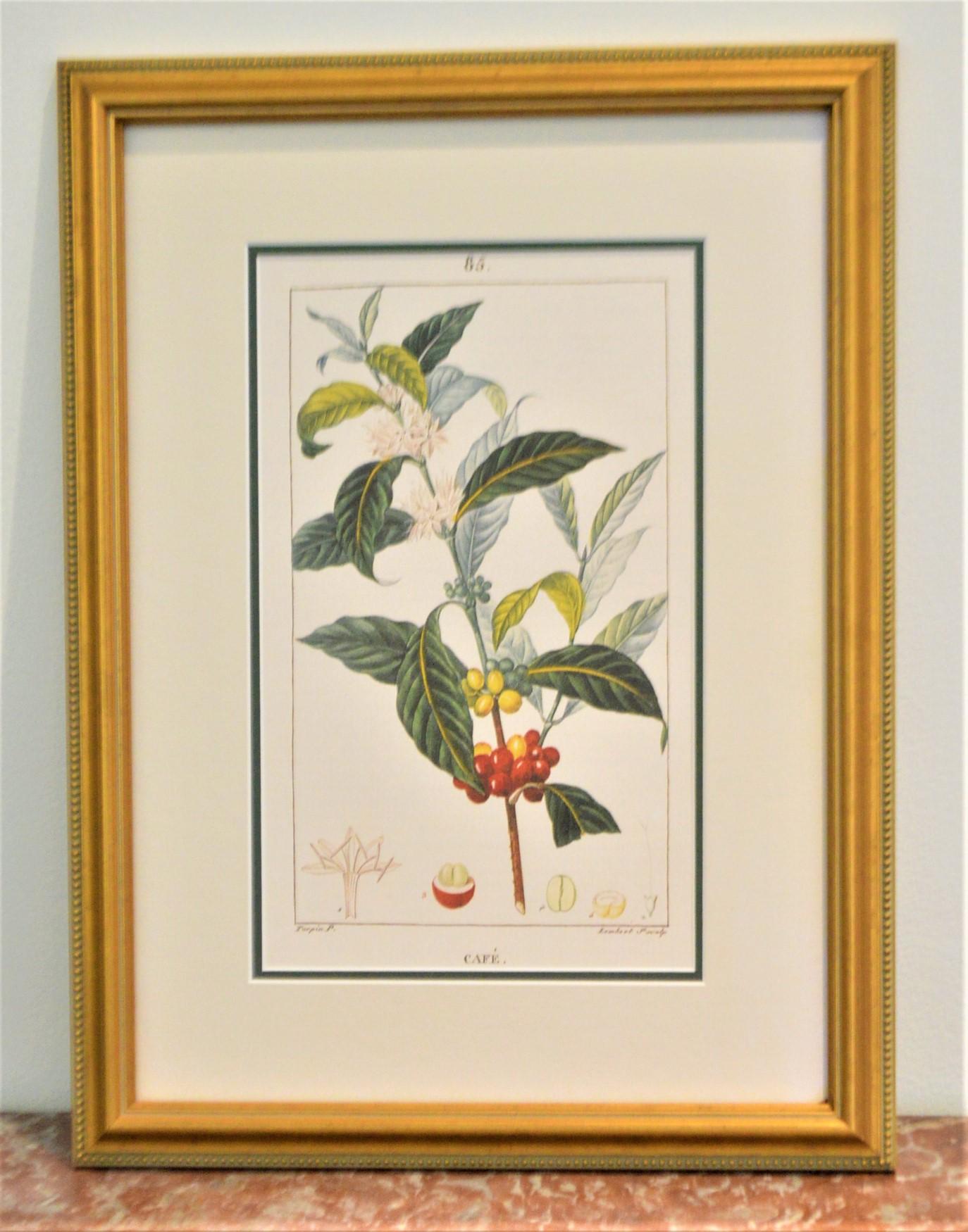 Wood Set of 8 Botanical Prints, Gold Frame