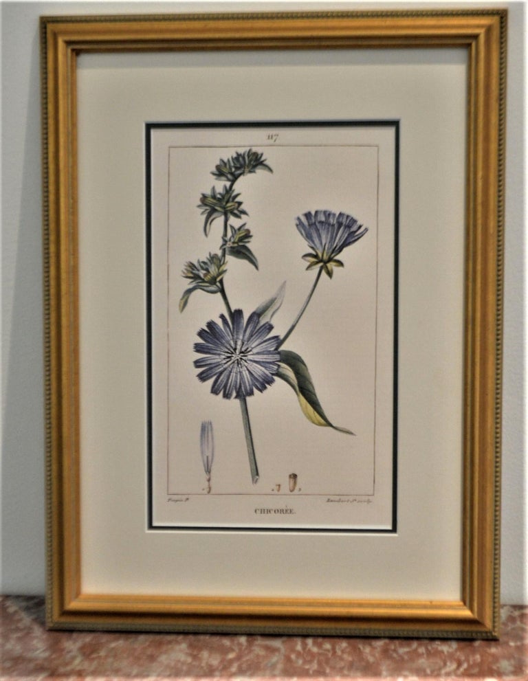 Set of 8 Botanical Prints, Gold Frame For Sale at 1stdibs