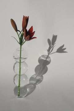 Set of 8 Clear Bubble Vases by Valeria Vasi