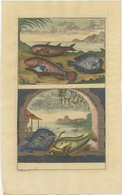 Set of 8 Colored Antique Prints of Various Fishes and Crustaceans