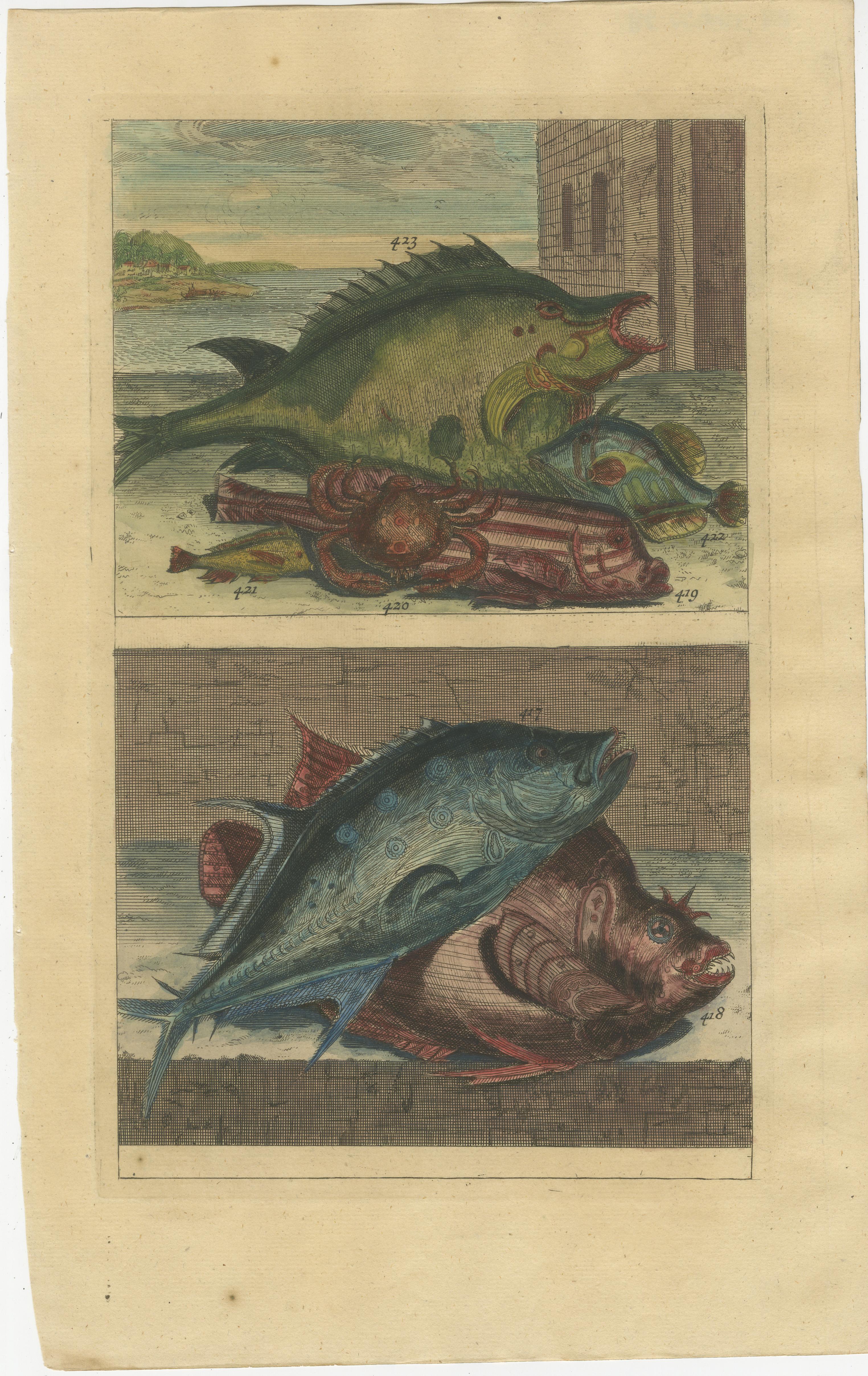 Set of 8 Colored Antique Prints of Various Fishes and Crustaceans In Good Condition For Sale In Langweer, NL