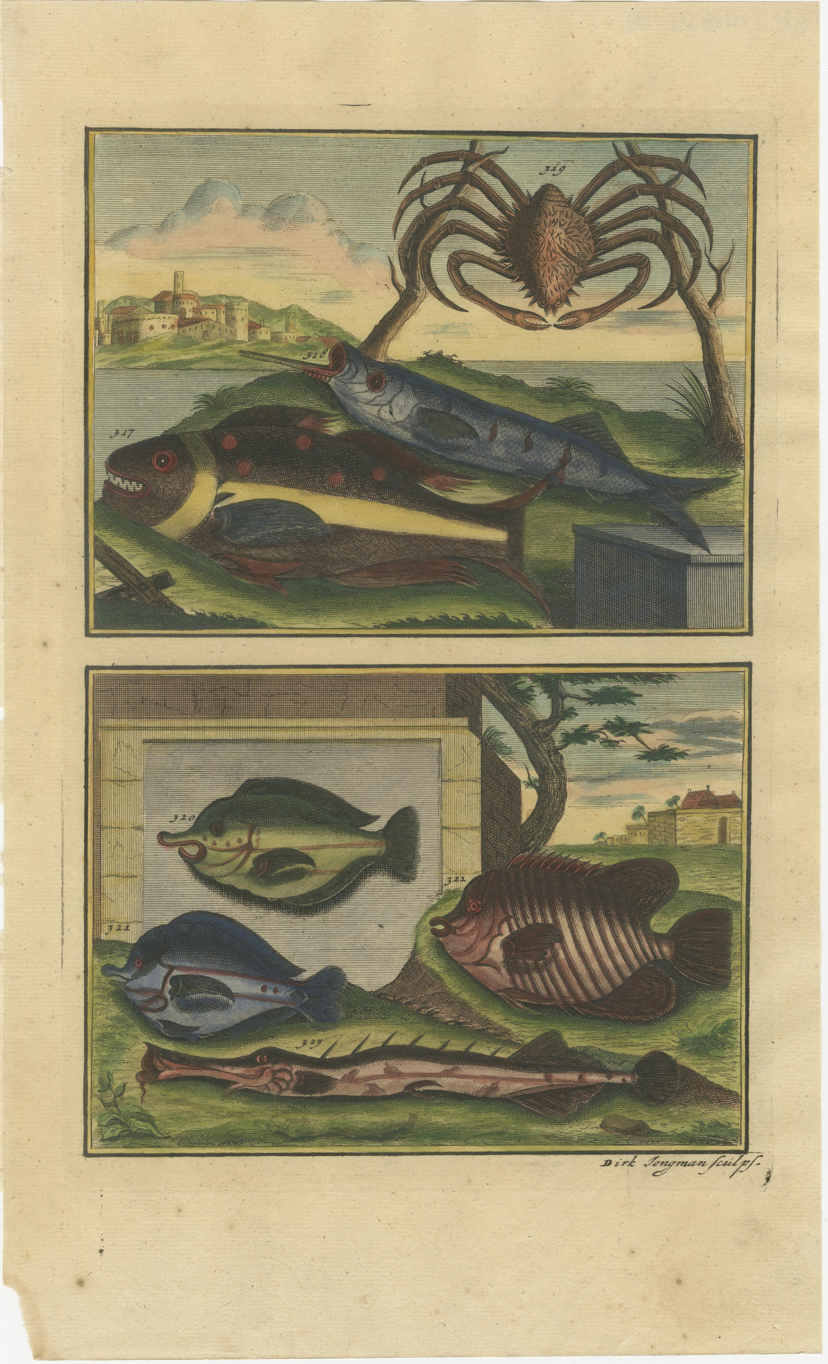 18th Century Set of 8 Colored Antique Prints of Various Fishes and Crustaceans For Sale